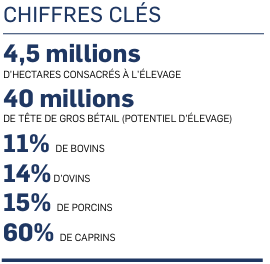 RDC - Elevage - Le développement de l’élevage