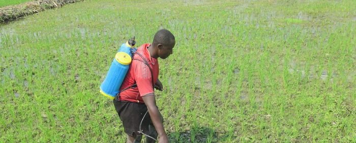 36072275622_0ac4214b56_c